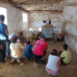 Granja Top 24 ocio incluxion respiro (2)