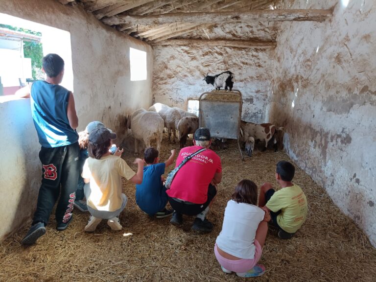 Granja Top 24 ocio incluxion respiro (2)