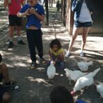 Granja Top 24 ocio incluxion respiro (7)