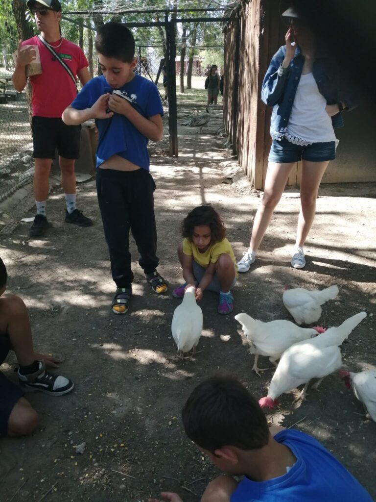 Granja Top 24 ocio incluxion respiro (7)