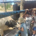 Granja Top 24 ocio incluxion respiro (9)