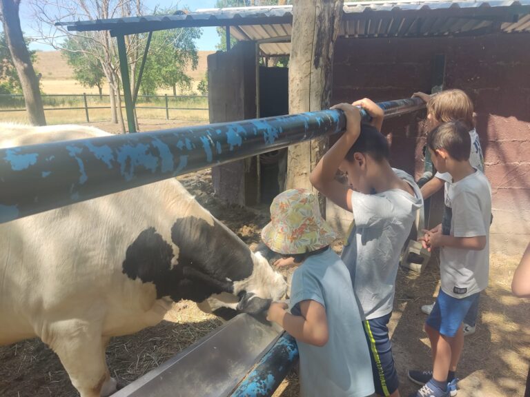 Granja Top 24 ocio incluxion respiro (9)